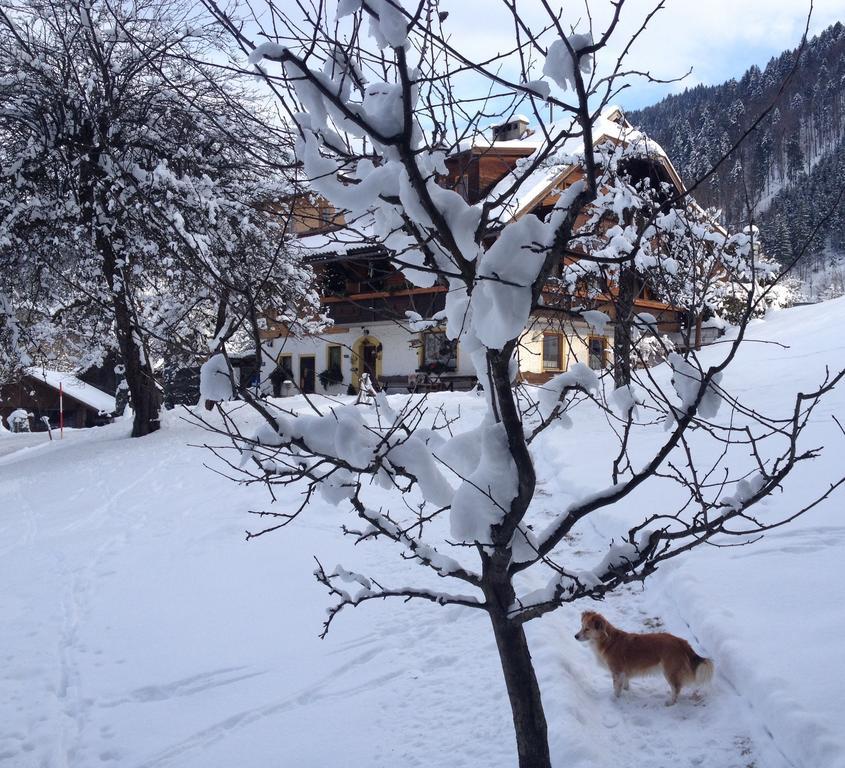 Villa Haus Maria Arnoldstein Zimmer foto